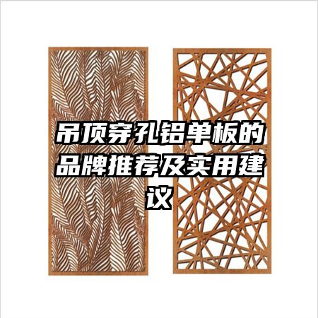 吊頂穿孔鋁單板的品牌推薦及實(shí)用建議